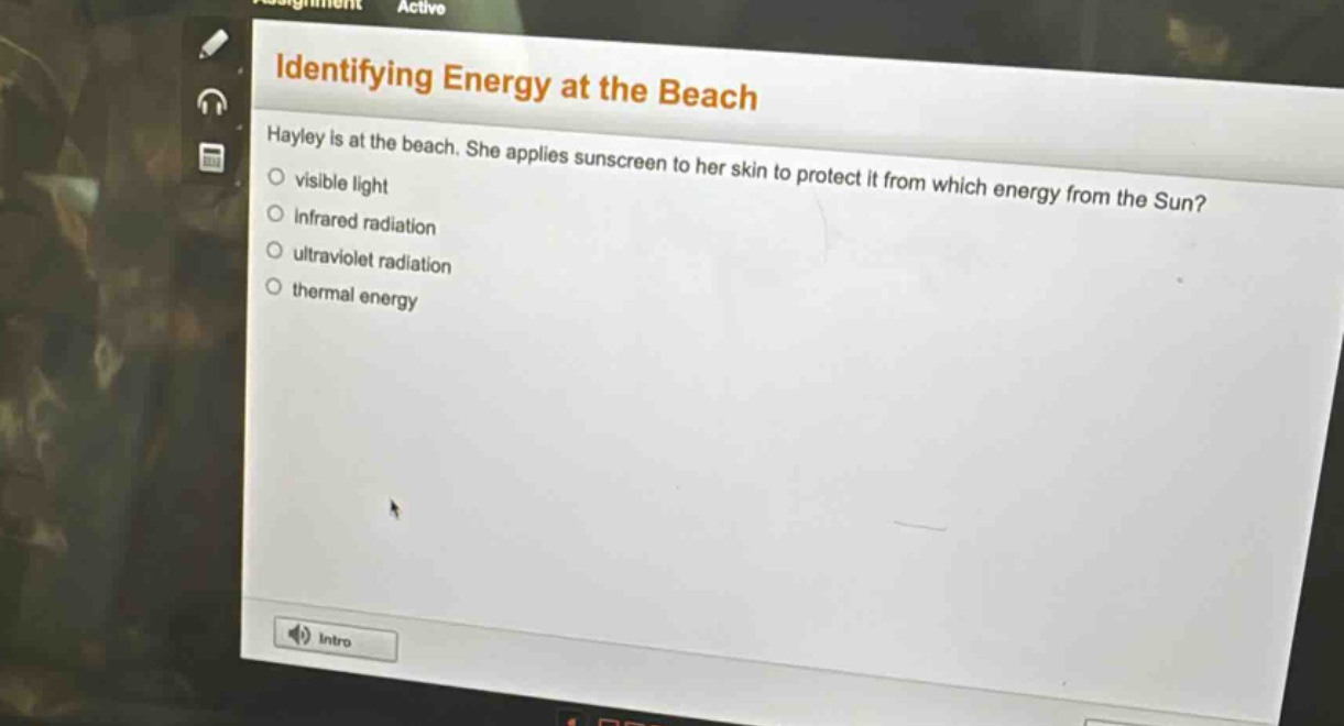 identifying energy at the beach\nhayley is at the beach. she applies sunscreen to her skin to protect it from which energy from the sun?\nvisible light\ninfrared radiation\nultraviolet radiation\nthermal energy