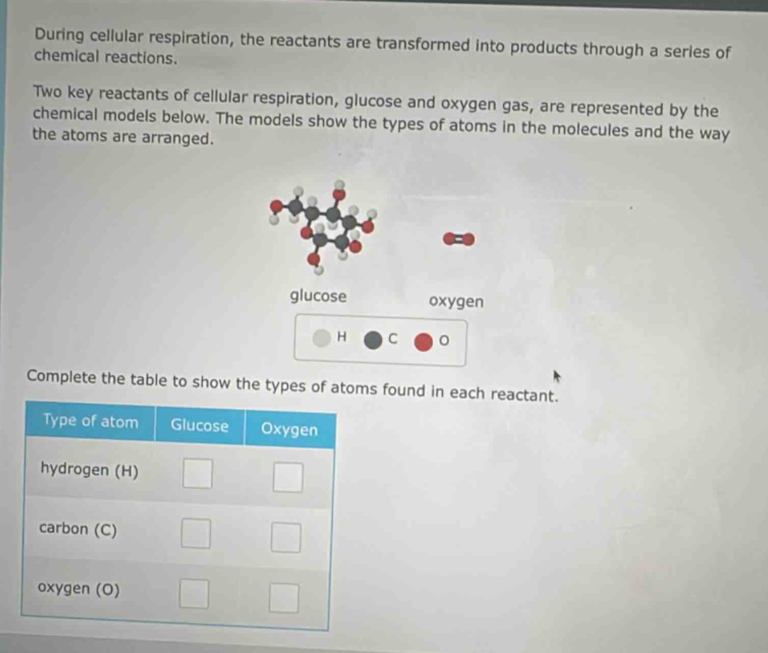 during cellular respiration, the reactants are transformed into products through a series of chemical reactions.\ntwo key reactants of cellular respiration, glucose and oxygen gas, are represented by the chemical models below. the models show the types of atoms in the molecules and the way the atoms are arranged.\ncomplete the table to show the types of atoms found in each reactant.\ntype of atom glucose oxygen\nhydrogen (h)\ncarbon (c)\noxygen (o)