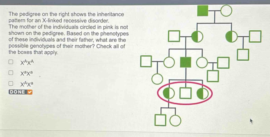 the pedigree on the right shows the inheritance pattern for an x - linked recessive disorder. the mother of the individuals circled in pink is not shown on the pedigree. based on the phenotypes of these individuals and their father, what are the possible genotypes of their mother? check all of the boxes that apply.\n□ (x^{a}x^{a})\n□ (x^{a}x^{a})\n□ (x^{a}x^{a})\ndone