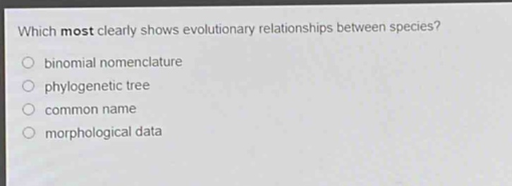 which most clearly shows evolutionary relationships between species?\nbinomial nomenclature\nphylogenetic tree\ncommon name\nmorphological data
