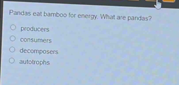 pandas eat bamboo for energy. what are pandas?\nproducers\nconsumers\ndecomposers\nautotrophs