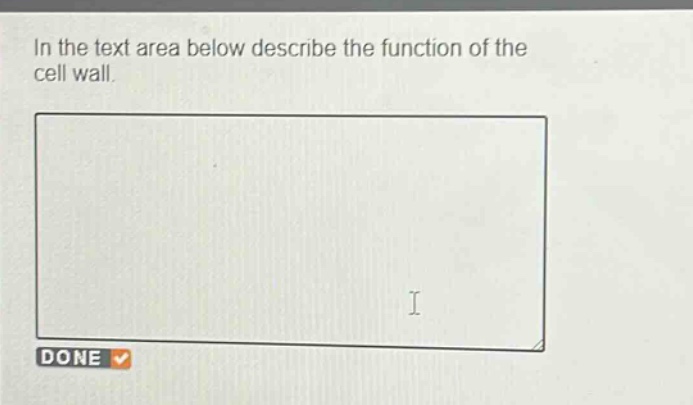 in the text area below describe the function of the cell wall.