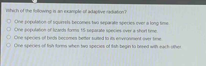 which of the following is an example of adaptive radiation?\none population of squirrels becomes two separate species over a long time.\none population of lizards forms 15 separate species over a short time.\none species of birds becomes better suited to its environment over time.\none species of fish forms when two species of fish begin to breed with each other.