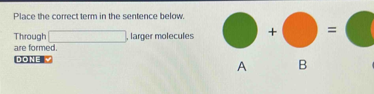 place the correct term in the sentence below. through, larger molecules are formed. done