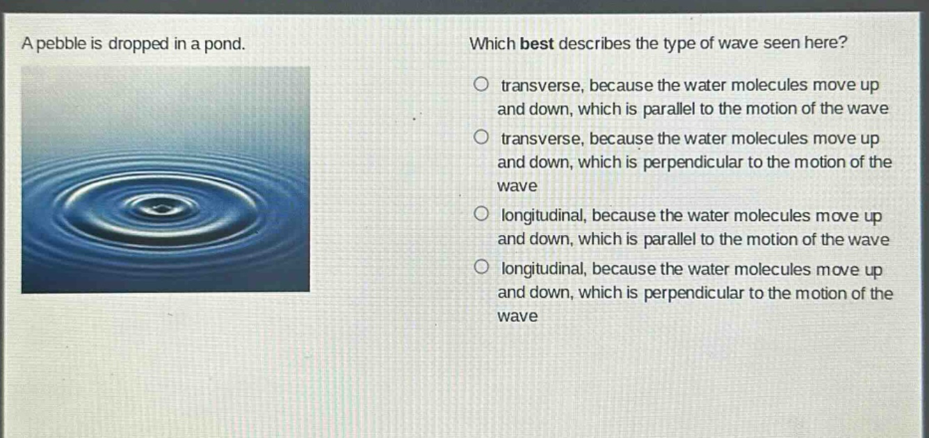 a pebble is dropped in a pond. which best describes the type of wave seen here? transverse, because the water molecules move up and down, which is parallel to the motion of the wave transverse, because the water molecules move up and down, which is perpendicular to the motion of the wave longitudinal, because the water molecules move up and down, which is parallel to the motion of the wave longitudinal, because the water molecules move up and down, which is perpendicular to the motion of the wave