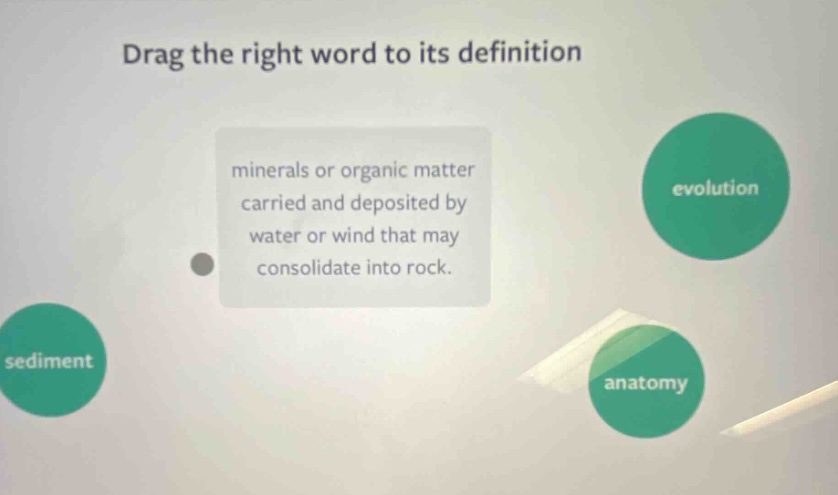 drag the right word to its definition minerals or organic matter carried and deposited by water or wind that may consolidate into rock. evolution sediment anatomy