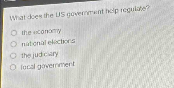 what does the us government help regulate?\no the economy\no national elections\no the judiciary\no local government