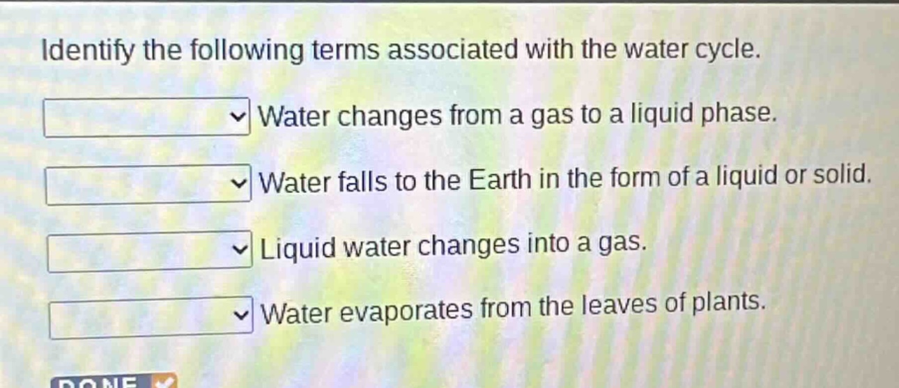 identify the following terms associated with the water cycle. water changes from a gas to a liquid phase. water falls to the earth in the form of a liquid or solid. liquid water changes into a gas. water evaporates from the leaves of plants.