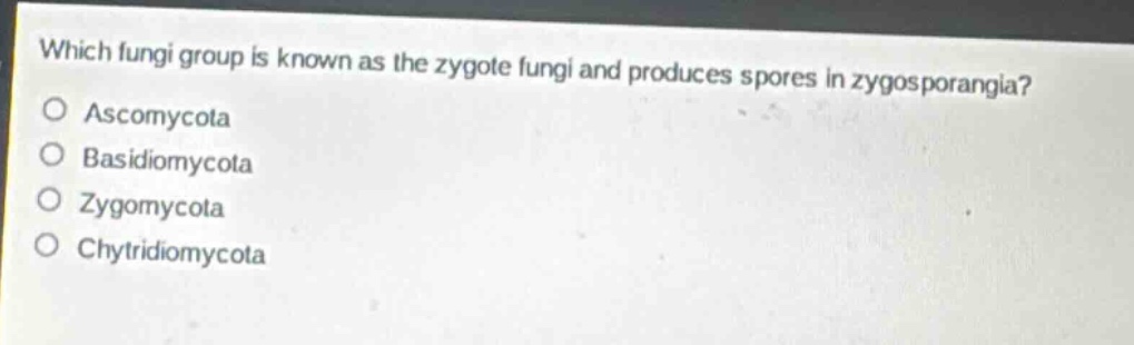 which fungi group is known as the zygote fungi and produces spores in zygosporangia?\no ascomycota\no basidiomycota\no zygomycota\no chytridiomycota