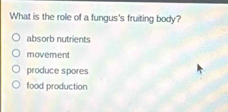 what is the role of a funguss fruiting body?\nabsorb nutrients\nmovement\nproduce spores\nfood production