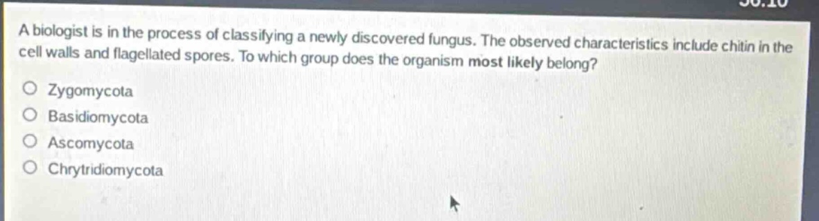 a biologist is in the process of classifying a newly discovered fungus. the observed characteristics include chitin in the cell walls and flagellated spores. to which group does the organism most likely belong?\no zygomycota\no basidiomycota\no ascomycota\no chytridiomycota