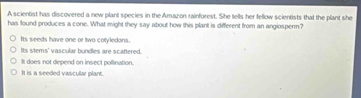 a scientist has discovered a new plant species in the amazon rainforest. she tells her fellow scientists that the plant she has found produces a cone. what might they say about how this plant is different from an angiosperm?\no its seeds have one or two cotyledons.\no its stems vascular bundles are scattered.\no it does not depend on insect pollination.\no it is a seeded vascular plant.