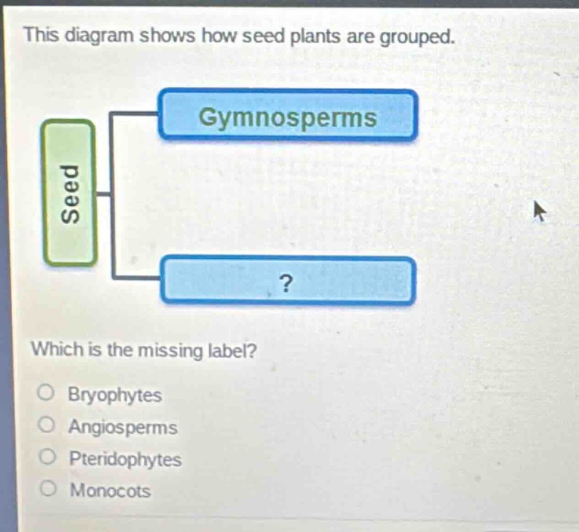 this diagram shows how seed plants are grouped. which is the missing label? bryophytes angiosperms pteridophytes monocots