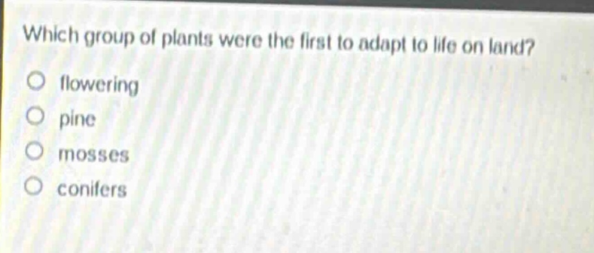 which group of plants were the first to adapt to life on land?\nflowering\npine\nmosses\nconifers