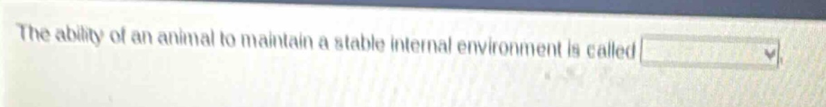 the ability of an animal to maintain a stable internal environment is called