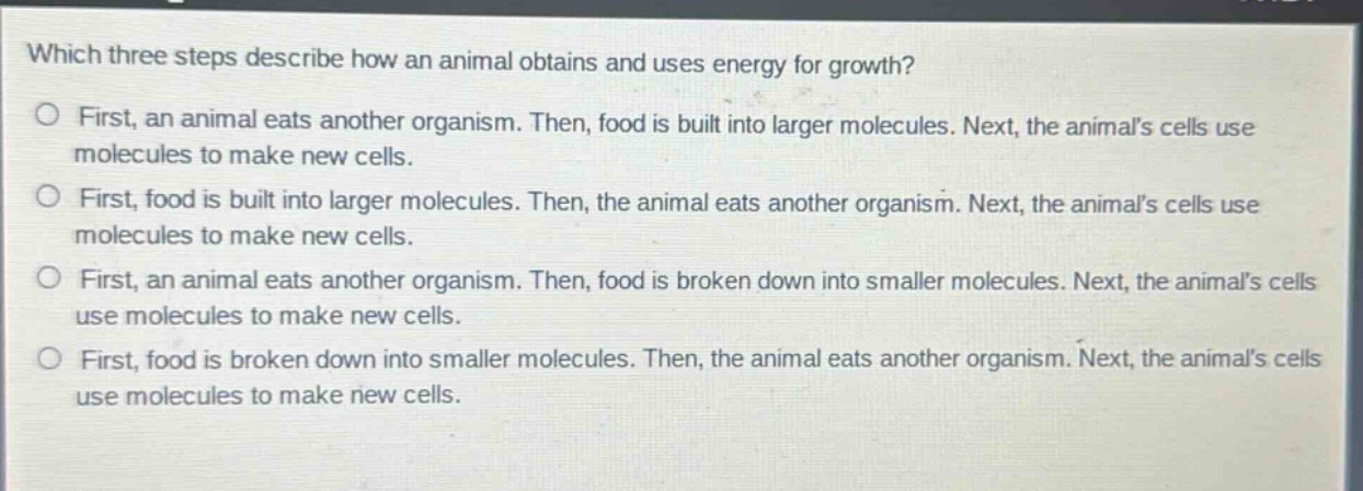 which three steps describe how an animal obtains and uses energy for growth?\no first, an animal eats another organism. then, food is built into larger molecules. next, the animals cells use molecules to make new cells.\no first, food is built into larger molecules. then, the animal eats another organism. next, the animals cells use molecules to make new cells.\no first, an animal eats another organism. then, food is broken down into smaller molecules. next, the animals cells use molecules to make new cells.\no first, food is broken down into smaller molecules. then, the animal eats another organism. next, the animals cells use molecules to make new cells.