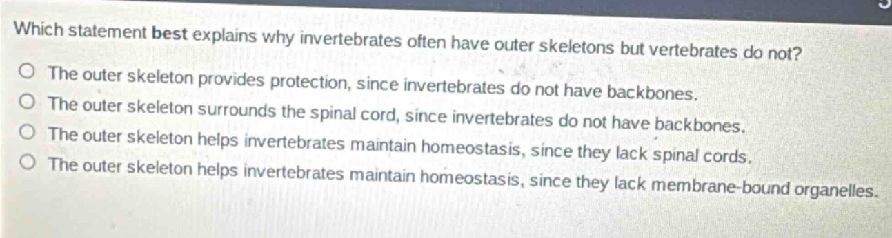 which statement best explains why invertebrates often have outer skeletons but vertebrates do not?\nthe outer skeleton provides protection, since invertebrates do not have backbones.\nthe outer skeleton surrounds the spinal cord, since invertebrates do not have backbones.\nthe outer skeleton helps invertebrates maintain homeostasis, since they lack spinal cords.\nthe outer skeleton helps invertebrates maintain homeostasis, since they lack membrane - bound organelles.