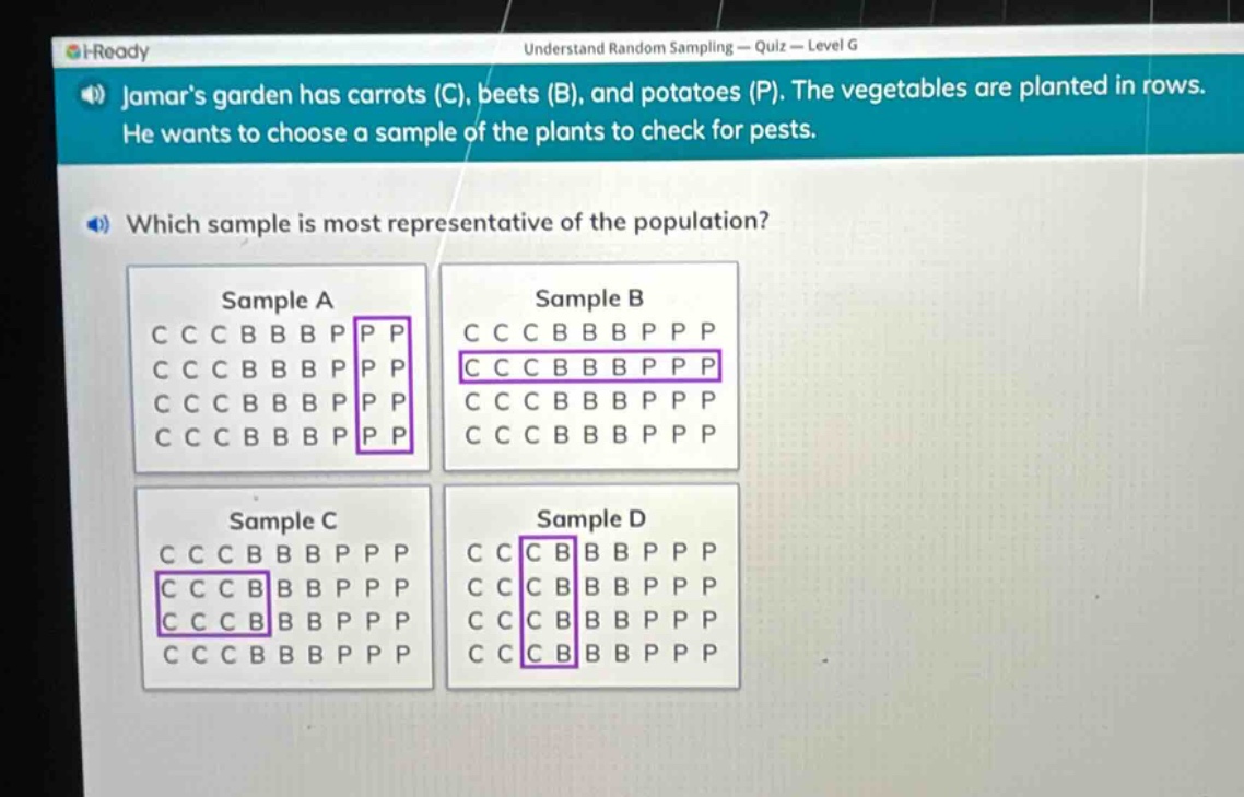 jamars garden has carrots (c), beets (b), and potatoes (p). the vegetables are planted in rows. he wants to choose a sample of the plants to check for pests. which sample is most representative of the population? sample a c c c b b b p p p c c c b b b p p p c c c b b b p p p c c c b b b p p p sample b c c c b b b p p p c c c b b b p p p c c c b b b p p p c c c b b b p p p sample c c c c b b b p p p c c c b b b p p p c c c b b b p p p c c c b b b p p p sample d c c c b b b p p p c c c b b b p p p c c c b b b p p p c c c b b b p p p