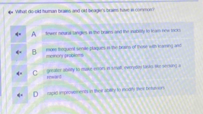 what do old human brains and old beagles brains have in common?\na fewer neural tangles in the brains and the inability to learn new tricks\nb more frequent senile plaques in the brains of those with learning and memory problems\nc greater ability to make errors in small, everyday tasks like seeking a reward\nd rapid improvements in their ability to modify their behaviors