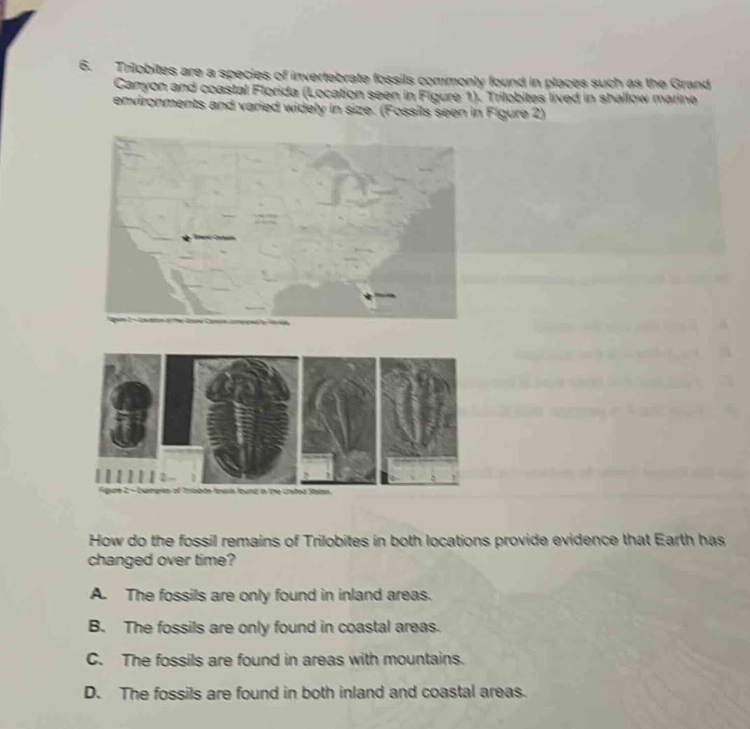 6. trilobites are a species of invertebrate fossils commonly found in places such as the grand canyon and coastal florida (location seen in figure 1). trilobites lived in shallow marine environments and varied widely in size. (fossils seen in figure 2) how do the fossil remains of trilobites in both locations provide evidence that earth has changed over time? a. the fossils are only found in inland areas. b. the fossils are only found in coastal areas. c. the fossils are found in areas with mountains. d. the fossils are found in both inland and coastal areas.