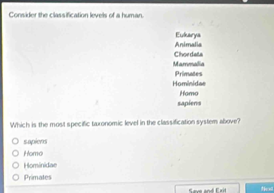consider the classification levels of a human.\neukarya\nanimalia\nchordata\nmammalia\nprimates\nhominidae\nhomo\nsapiens\nwhich is the most specific taxonomic level in the classification system above?\no sapiens\no homo\no hominidae\no primates
