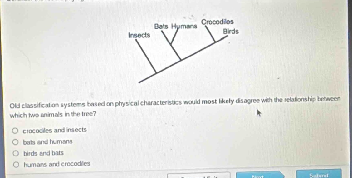 old classification systems based on physical characteristics would most likely disagree with the relationship between which two animals in the tree?\no crocodiles and insects\no bats and humans\no birds and bats\no humans and crocodiles