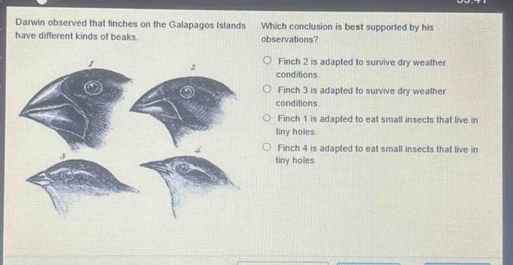 darwin observed that finches on the galapagos islands have different kinds of beaks. which conclusion is best supported by his observations? finch 2 is adapted to survive dry weather conditions. finch 3 is adapted to survive dry weather conditions. finch 1 is adapted to eat small insects that live in tiny holes. finch 4 is adapted to eat small insects that live in tiny holes.