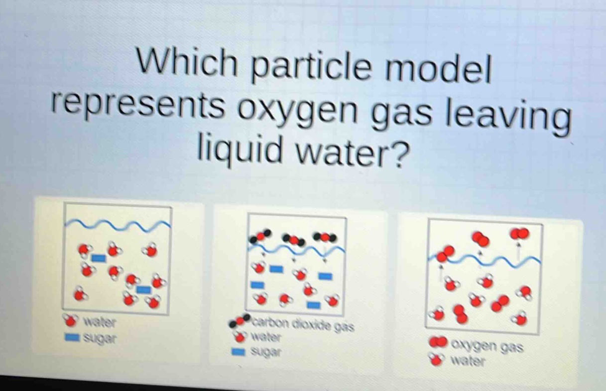which particle model represents oxygen gas leaving liquid water?
