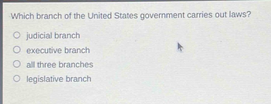 which branch of the united states government carries out laws?\njudicial branch\nexecutive branch\nall three branches\nlegislative branch