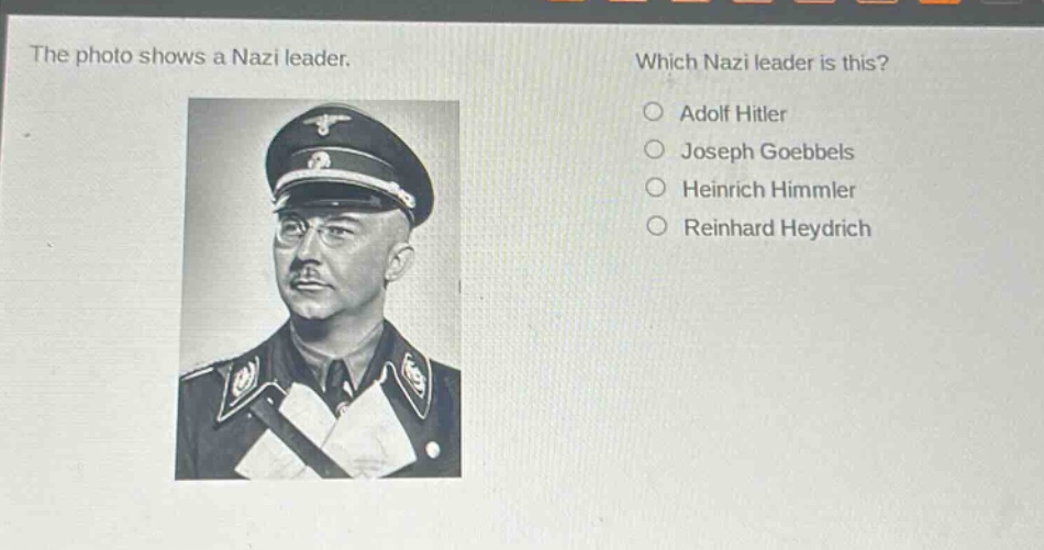 the photo shows a nazi leader. which nazi leader is this? adolf hitler joseph goebbels heinrich himmler reinhard heydrich