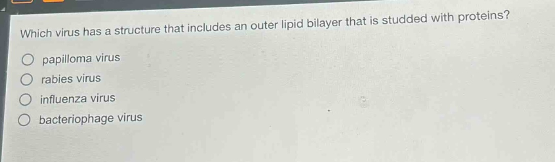 which virus has a structure that includes an outer lipid bilayer that is studded with proteins?\npapilloma virus\nrabies virus\ninfluenza virus\nbacteriophage virus