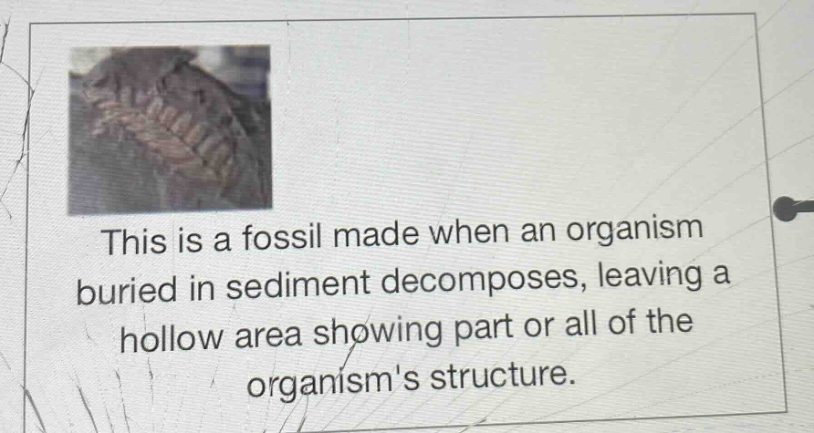 this is a fossil made when an organism buried in sediment decomposes, leaving a hollow area showing part or all of the organisms structure.
