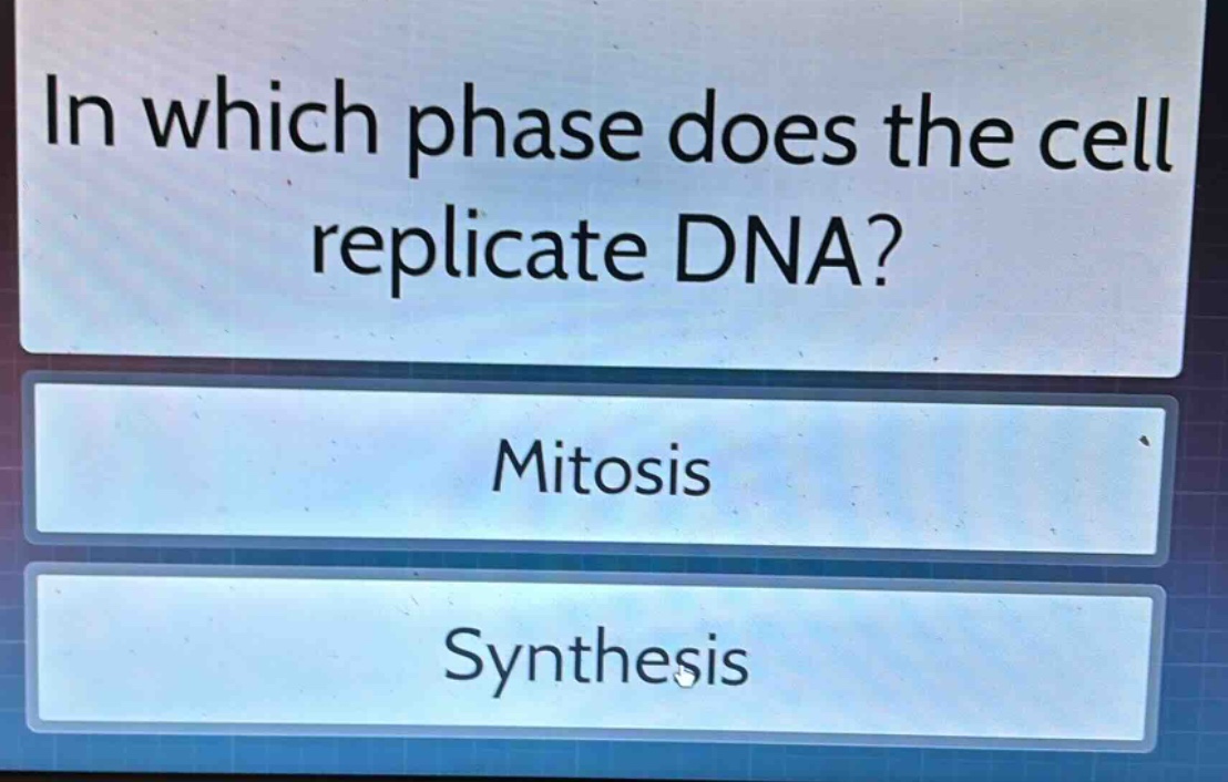 in which phase does the cell replicate dna?\nmitosis\nsynthesis