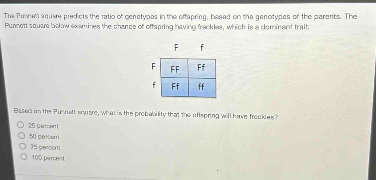 the punnett square predicts the ratio of genotypes in the offspring, based on the genotypes of the parents. the punnett square below examines the chance of offspring having freckles, which is a dominant trait. f f f ff ff f ff ff based on the punnett square, what is the probability that the offspring will have freckles? 25 percent 50 percent 75 percent 100 percent