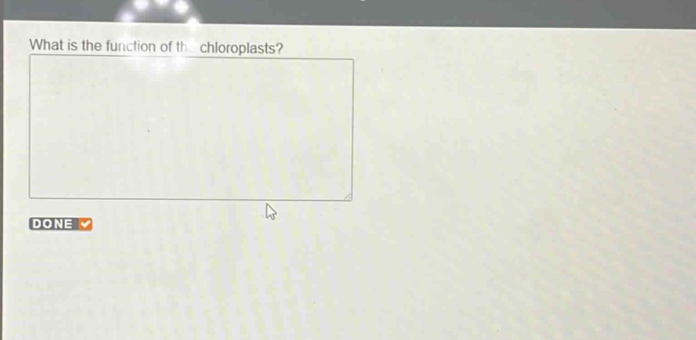 what is the function of the chloroplasts?