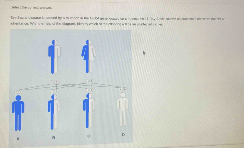 select the correct answer. tay - sachs disease is caused by a mutation in the hexa gene located on chromosome 15. tay - sachs follows an autosomal recessive pattern of inheritance. with the help of the diagram, identify which of the offspring will be an unaffected carrier.