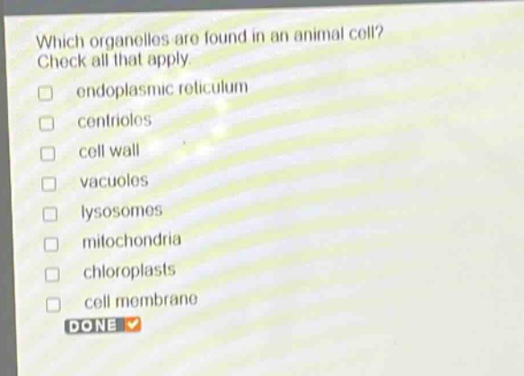 which organelles are found in an animal cell? check all that apply. endoplasmic reticulum centrioles cell wall vacuoles lysosomes mitochondria chloroplasts cell membrane done