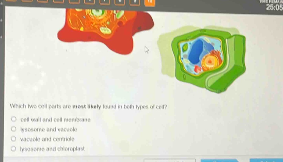 which two cell parts are most likely found in both types of cell?\ncell wall and cell membrane\nlysosome and vacuole\nvacuole and centriole\nlysosome and chloroplast