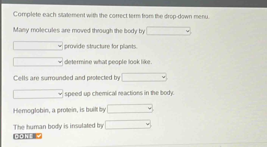 complete each statement with the correct term from the drop - down menu. many molecules are moved through the body by. provide structure for plants. determine what people look like. cells are surrounded and protected by. speed up chemical reactions in the body. hemoglobin, a protein, is built by. the human body is insulated by. done
