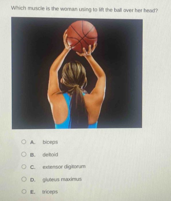 which muscle is the woman using to lift the ball over her head?\na. biceps\nb. deltoid\nc. extensor digitorum\nd. gluteus maximus\ne. triceps