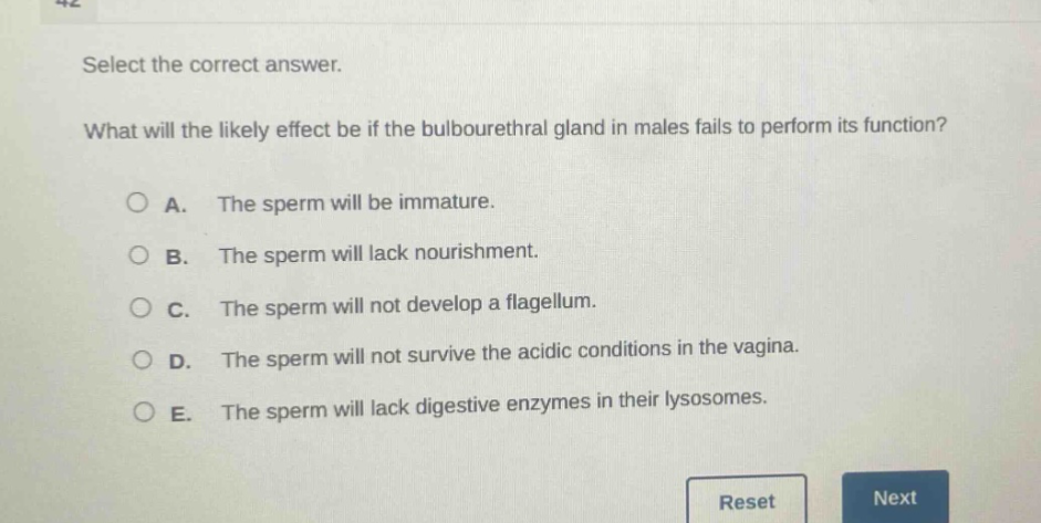 select the correct answer.\nwhat will the likely effect be if the bulbourethral gland in males fails to perform its function?\na. the sperm will be immature.\nb. the sperm will lack nourishment.\nc. the sperm will not develop a flagellum.\nd. the sperm will not survive the acidic conditions in the vagina.\ne. the sperm will lack digestive enzymes in their lysosomes.