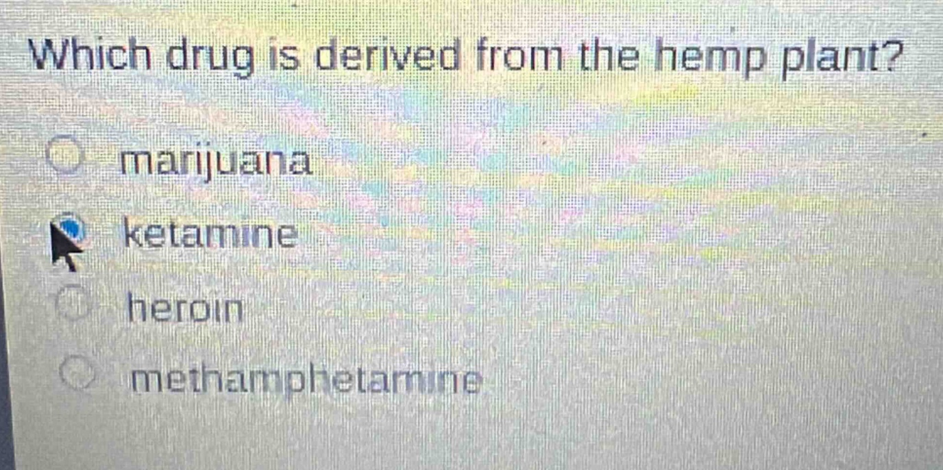 which drug is derived from the hemp plant?\n○ marijuana\n○ ketamine\n○ heroin\n○ methamphetamine