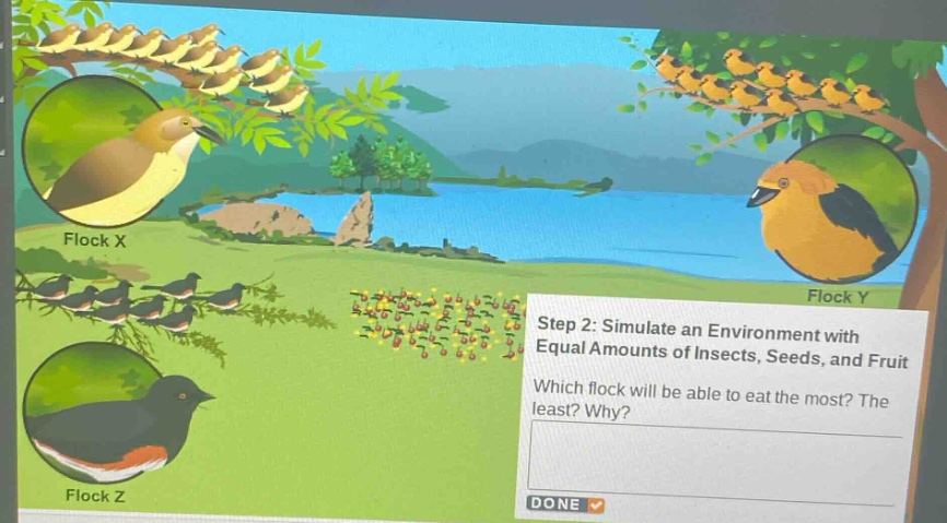 step 2: simulate an environment with equal amounts of insects, seeds, and fruit. which flock will be able to eat the most? the least? why?