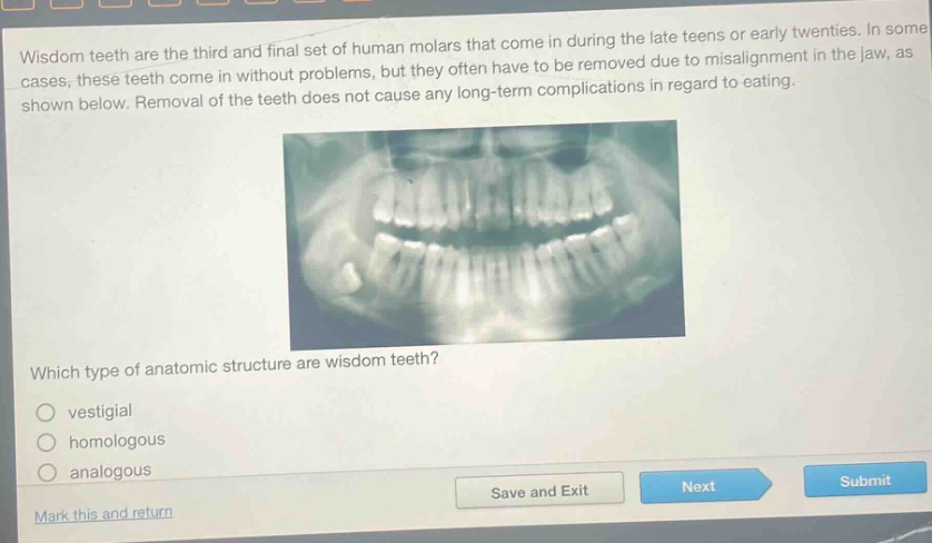 wisdom teeth are the third and final set of human molars that come in during the late teens or early twenties. in some cases, these teeth come in without problems, but they often have to be removed due to misalignment in the jaw, as shown below. removal of the teeth does not cause any long - term complications in regard to eating. which type of anatomic structure are wisdom teeth? vestigial homologous analogous