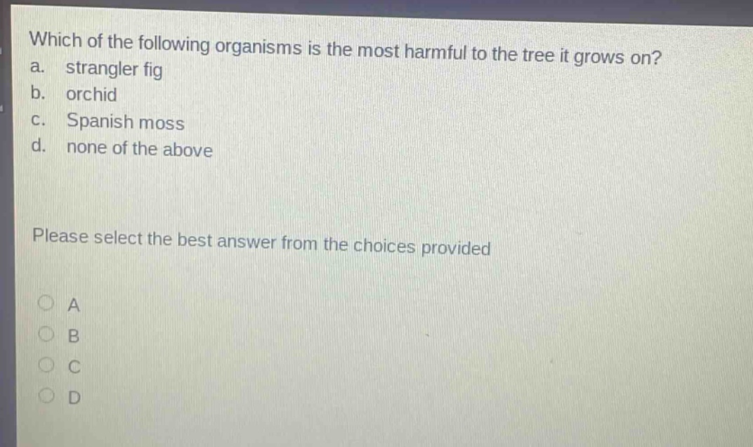 which of the following organisms is the most harmful to the tree it grows on? a. strangler fig b. orchid c. spanish moss d. none of the above please select the best answer from the choices provided