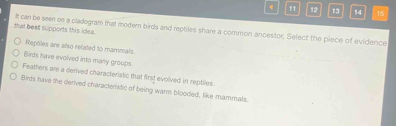 it can be seen on a cladogram that modern birds and reptiles share a common ancestor. select the piece of evidence that best supports this idea.\nreptiles are also related to mammals.\nbirds have evolved into many groups.\nfeathers are a derived characteristic that first evolved in reptiles.\nbirds have the derived characteristic of being warm - blooded, like mammals.