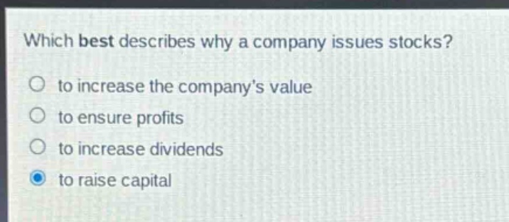 which best describes why a company issues stocks?\no to increase the companys value\no to ensure profits\no to increase dividends\no to raise capital
