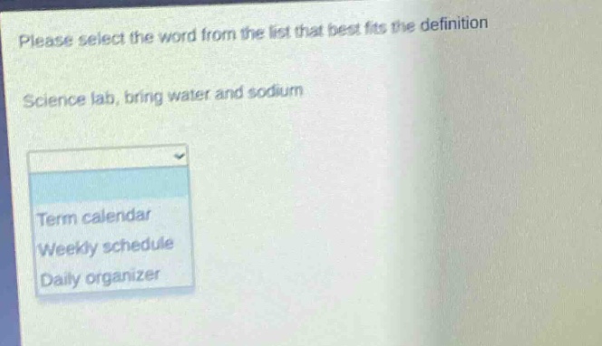 please select the word from the list that best fits the definition\nscience lab, bring water and sodium\nterm calendar\nweekly schedule\ndaily organizer