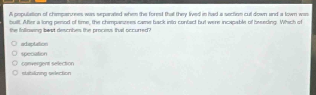 a population of chimpanzees was separated when the forest that they lived in had a section cut down and a town was built. after a long period of time, the chimpanzees came back into contact but were incapable of breeding. which of the following best describes the process that occurred?\n\nadaptation\nspeciation\nconvergent selection\nstabilizing selection