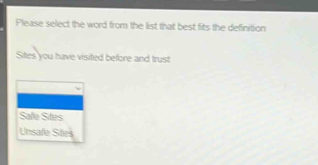please select the word from the list that best fits the definition. sites you have visited before and trust. safe sites unsafe sites